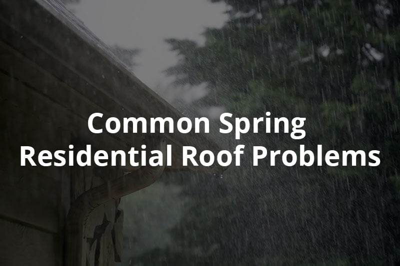 roof in the springtime rain