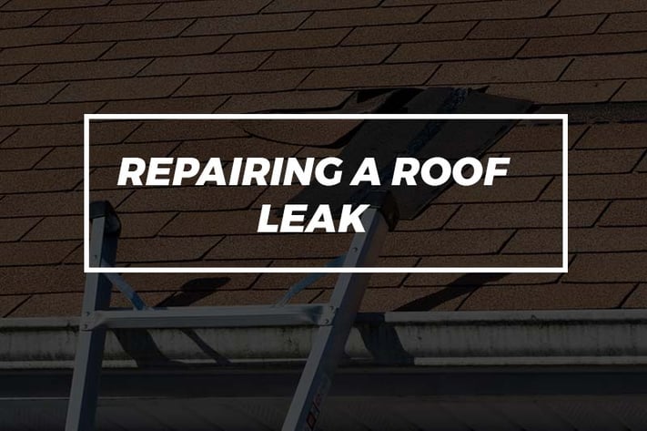 repairing a roof leak